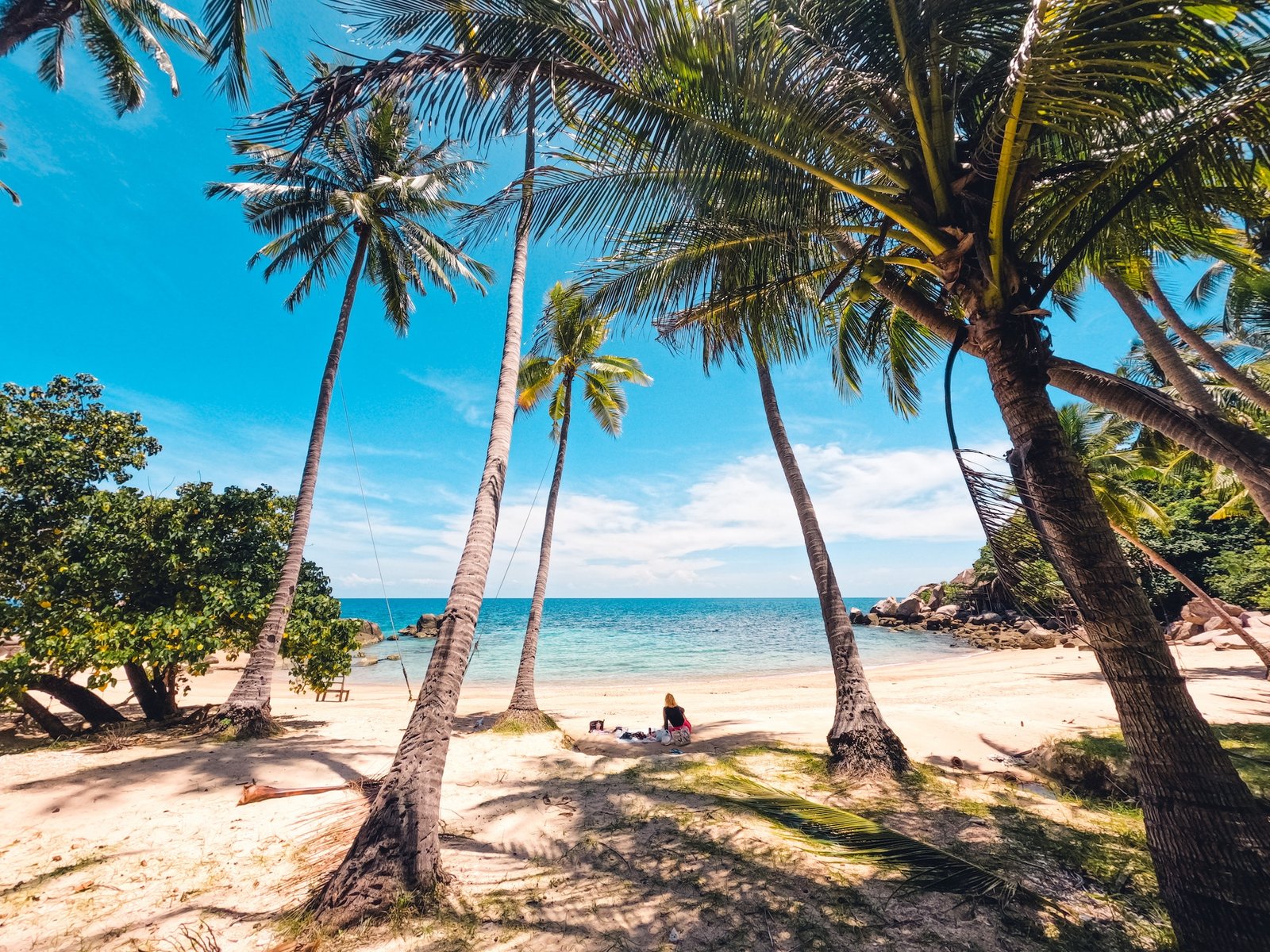 Beaches and coconut palms on a tropical island