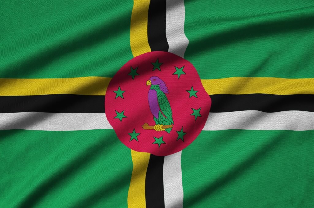 Dominica flag is depicted on a sports cloth fabric with many folds. Sport team waving banner